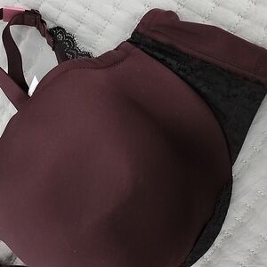 Cacique Deep Burgundy Lace Bra